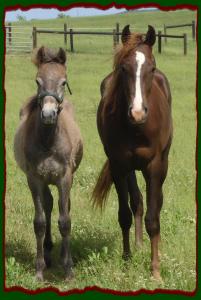 Click photos to enlarge image