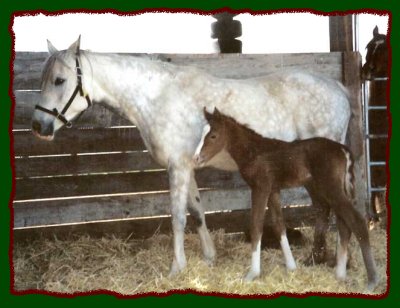 Click photo to enlarge image