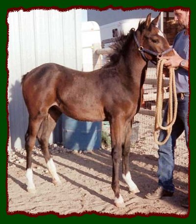 Click photo to enlarge image