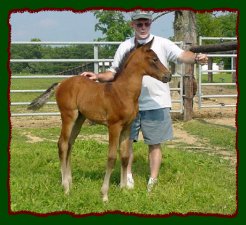 Shorecrests StarBreak