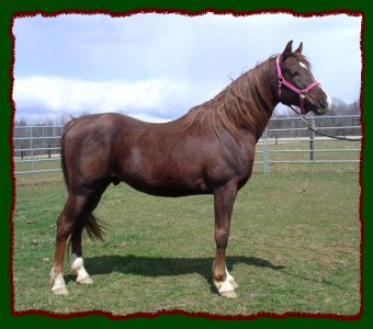 Click photo to enlarge image