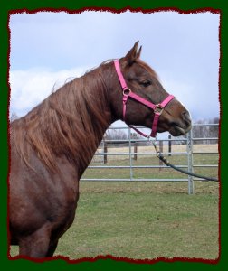 Click photo to enlarge image